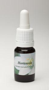 Star Remedies Star Remedies Hortensie (10Ml)