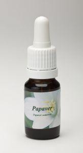 Star Remedies Mohn (10Ml)