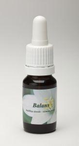 Star Remedies Gleichgewicht (10Ml)