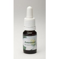 Star Remedies Star Remedies Ringelblume (10 Ml)