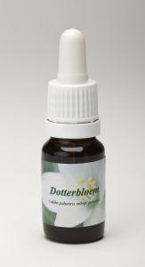 Star Remedies Ringelblume (10 Ml)