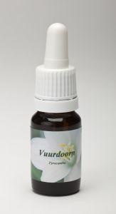 Star Remedies Feuerdorn (10 Ml)