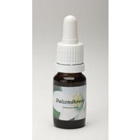 Star Remedies Star Remedies Knöterich (10 ml)