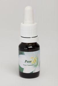 Star Remedies Birne (10Ml)