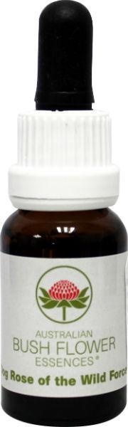 Australian Bush Hundsrose der wilden Mächte (15 Ml)