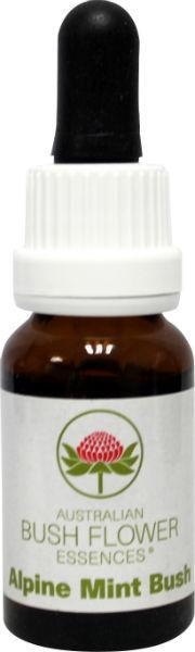 Australian Bush Alpenminzbusch (15 Ml)