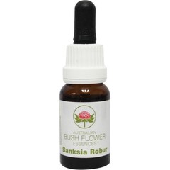 Australian Bush Banksia Robur (15 Ml)
