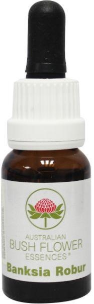 Australian Bush Banksia Robur (15 Ml)