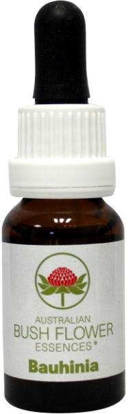 Australian Bush Bauhinie (15 Ml)