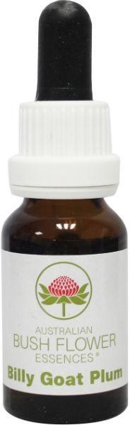 Australian Bush Ziegenbock Pflaume (15 Ml)