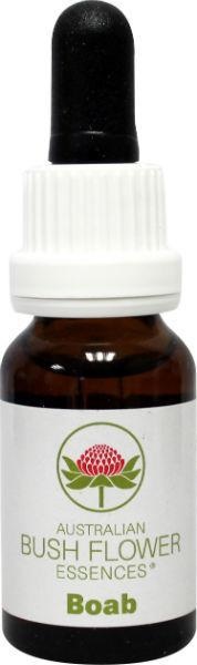 Australian Bush Boab (15 Ml)