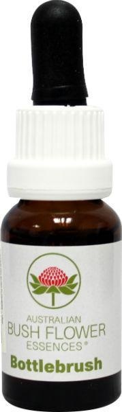 Australian Bush Australian Bush Flaschenbürste (15 Ml)