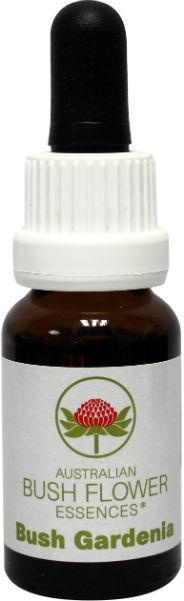Australian Bush Buschgardenie (15 Ml)