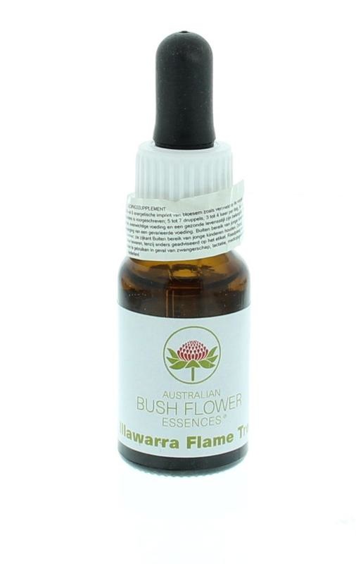 Australian Bush Illawarra Flammenbaum (15 Ml)