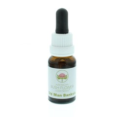 Australian Bush Alter Mann Banksia (15 Ml)