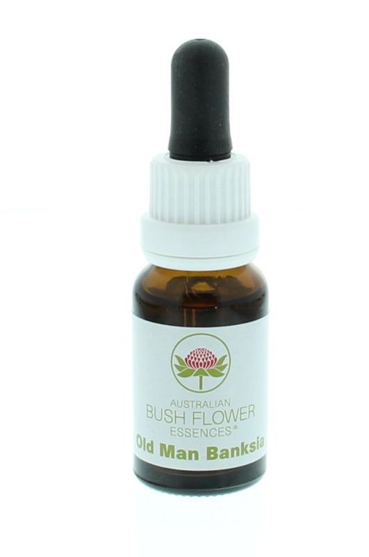 Australian Bush Alter Mann Banksia (15 Ml)