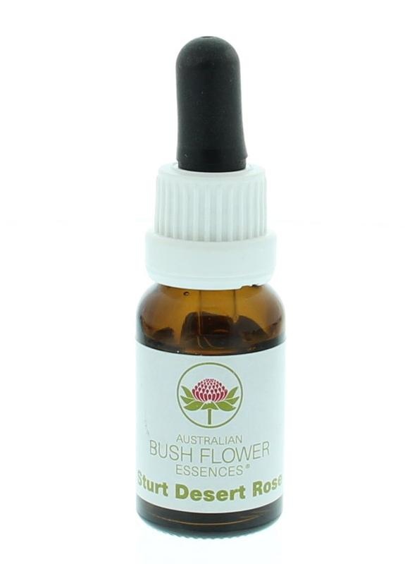 Australian Bush Sturt Wüstenerbse (15 Ml)