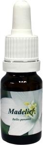 Star Remedies Gänseblümchen (10 Ml)