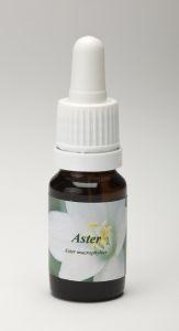 Star Remedies Aster (10 Ml)