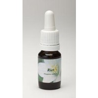 Star Remedies Star Remedies Schilf (10Ml)
