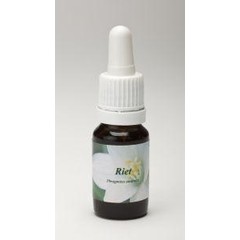 Star Remedies Schilf (10Ml)
