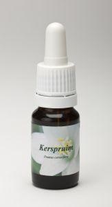 Star Remedies Kirschpflaume (10 Ml)