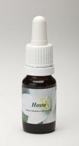 Star Remedies Hostas (10Ml)