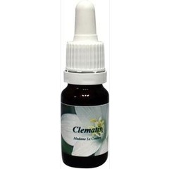 Star Remedies Clematis Madame le coultre (10 Ml)