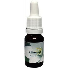 Star Remedies Clematis Madame le coultre (10 ml)