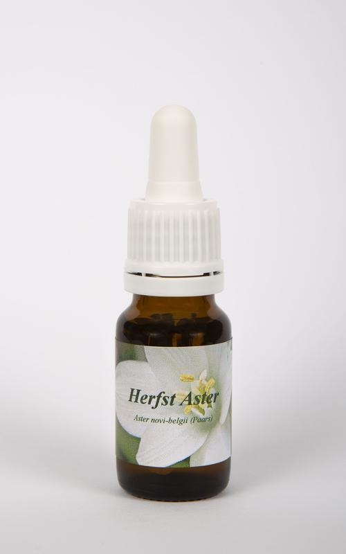 Star Remedies Herbstaster (10 Ml)