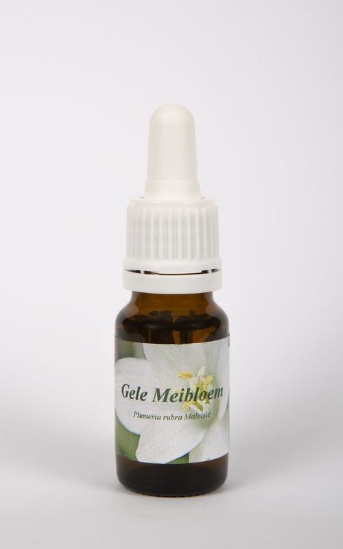 Star Remedies Gelbe Maiblume (10 Ml)