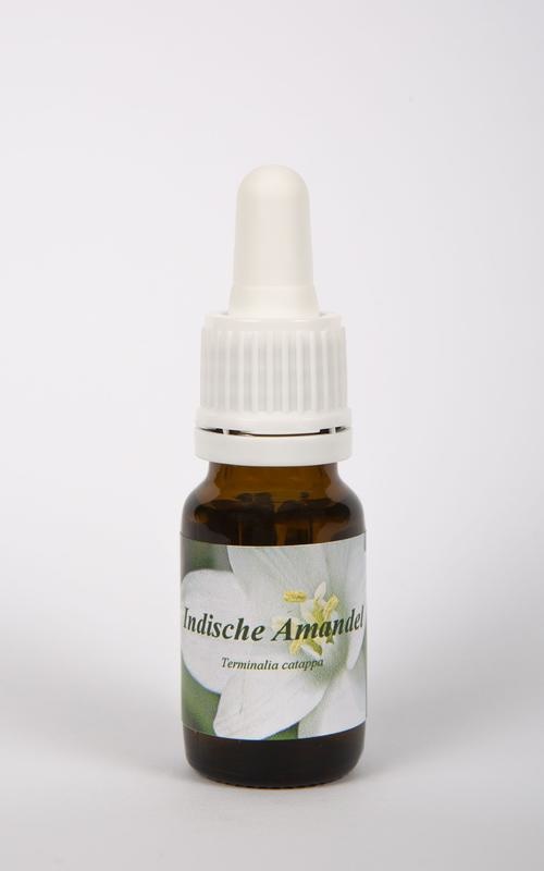 Star Remedies Indische Mandel (10 Ml)