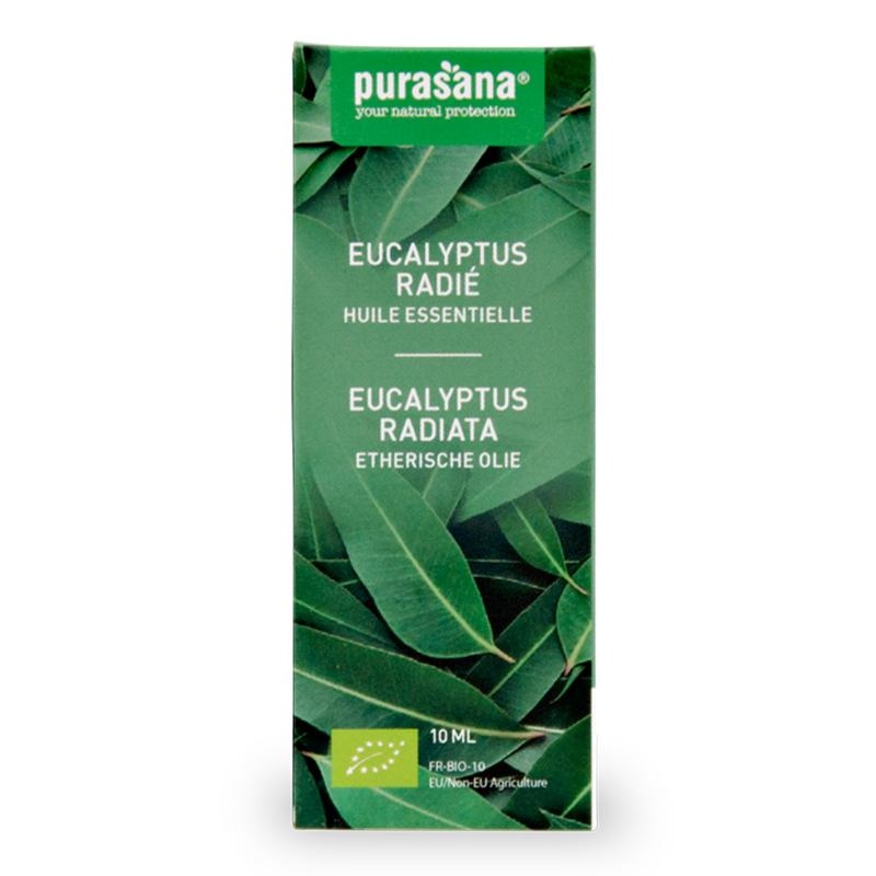 Purasana Purasana Eucalyptus Radiata Ã–l Bio (10 ml)