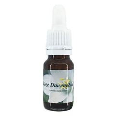 Star Remedies Schafgarbe rosa (10 Ml)