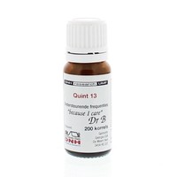 DNH DNH Quint 13 BMYD Granulat (200 Stück)
