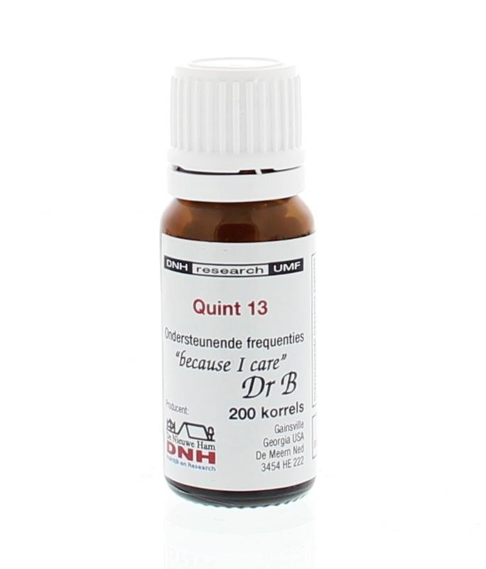 DNH Quint 13 BMYD Granulat (200 Stück)