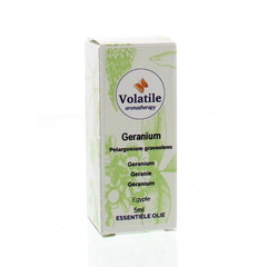 Volatile Geranie Maroc (5 ml)