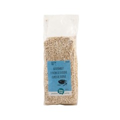 Terrasana Haferflocken glutenfrei bio (450 gr)