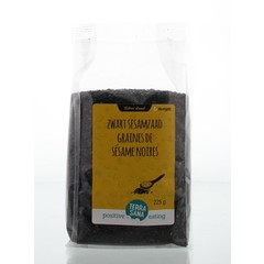 Terrasana RAW Sesam schwarz ungeschält bio (225 gr)