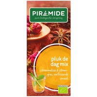 Piramide Piramide Nutze den Tagesmix Tee eko bio (20 Beutel)