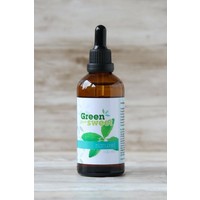 Green Sweet Green Sweet Stevia flüssig natur (100 ml)