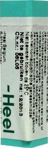Homeoden Heel Hypericum perforatum 9CH (1 gr)