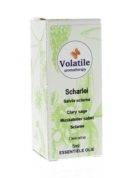 Volatile Muskatellersalbei (5 Ml)