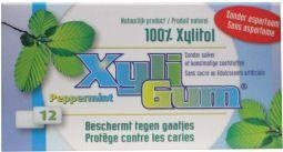 Xyligum Xyligum Pfefferminze (15 gr)