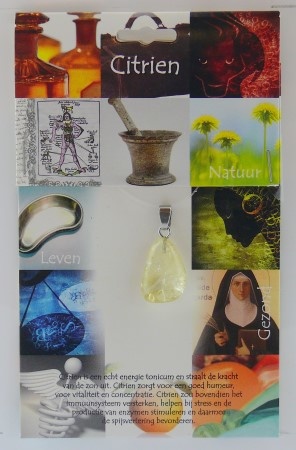 Steengoed Steengoed Anhänger Gesundheitsstein Citrin (1 Stück)