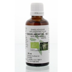 Natura Sanat Angelica officinalis / Engelwurz-Tinktur bio (50 Ml)