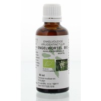 Natura Sanat Natura Sanat Angelica officinalis / Engelwurz-Tinktur bio (50 Ml)
