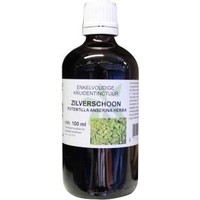 Natura Sanat Natura Sanat Potentilla anserina H / silbrige Reintinktur (100 Ml)
