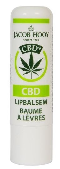 Jacob Hooy Lippenbalsam CBD (1 Stück)