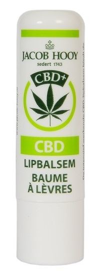 Jacob Hooy Jacob Hooy Lippenbalsam CBD (1 Stück)